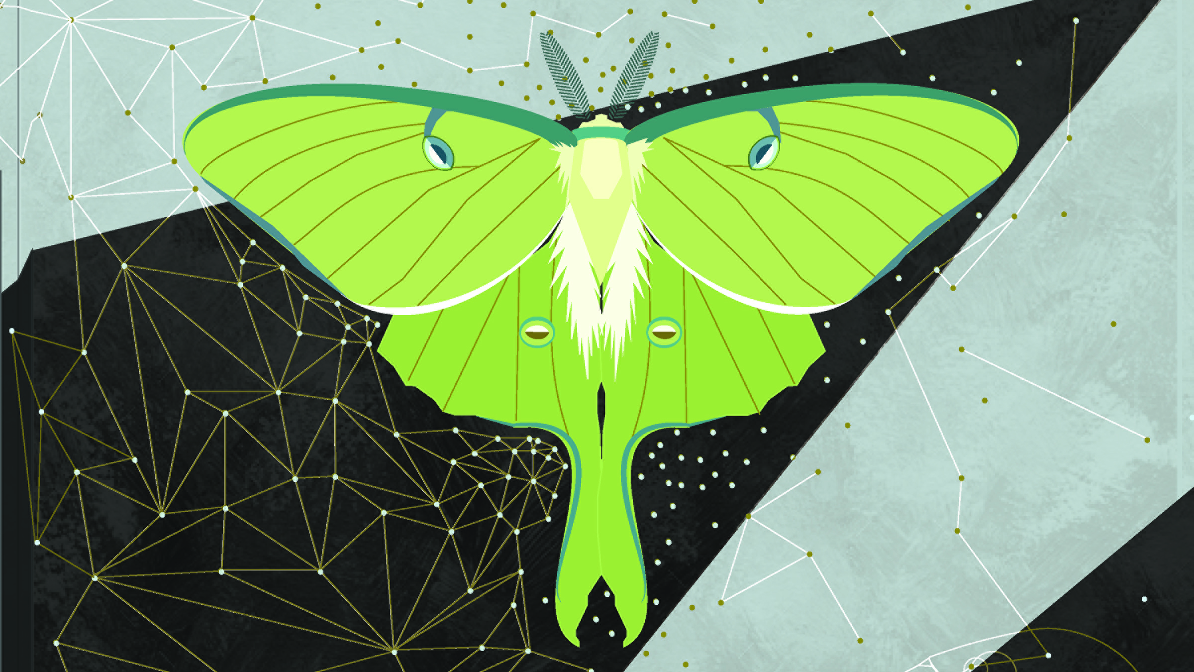 Luna Moth by Christy Baker (mural)