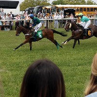 Foxfield races