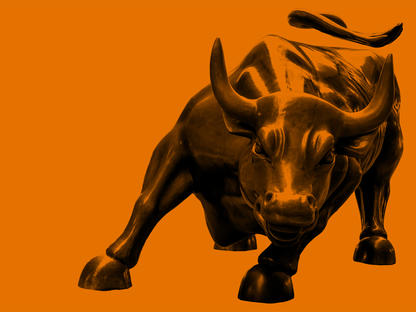 Orange Bull