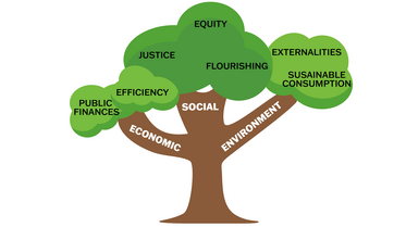 Sustainability tree graphic