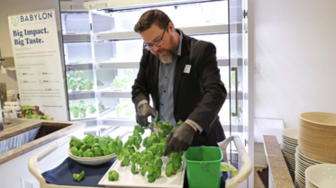 UVA Darden Babylon Microgreens iLab