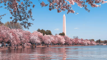 Washington DC