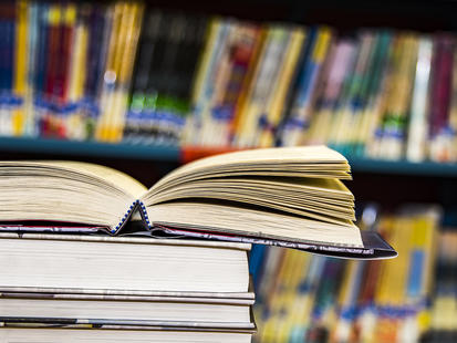 Books by Darden Alumni