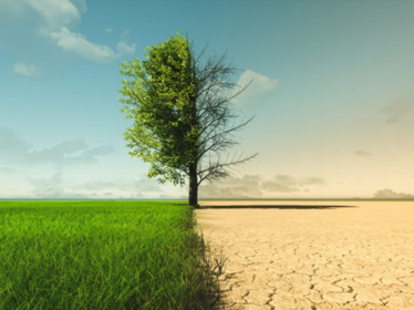 Beyond COP29: A Novel Framework for Tackling Climate Change