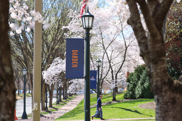 Darden School of Business at University of Virginia campus with spring cherry blossoms, student walking, and Darden banner in view